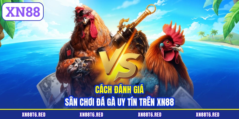 Đá Gà Uy Tín - Trải Nghiệm Cá Cược An Toàn Cùng XN88
