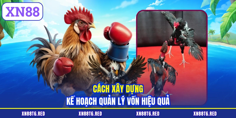 Đá Gà Tre Ăn Tiền XN88 - Đánh Giá Thể Lực Và Chọn Cửa Cược