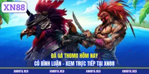 Đá Gà XN88 - Luật Chơi Chi Tiết Và Cách Đánh Giá Chiến Kê