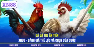 Đá Gà XN88 - Luật Chơi Chi Tiết Và Cách Đánh Giá Chiến Kê