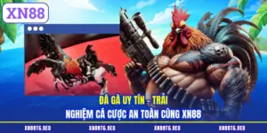 Đá Gà XN88 - Luật Chơi Chi Tiết Và Cách Đánh Giá Chiến Kê