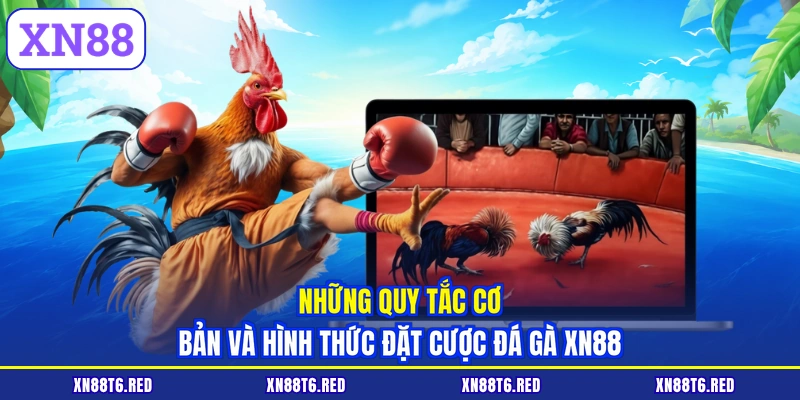 Đá Gà XN88 - Luật Chơi Chi Tiết Và Cách Đánh Giá Chiến Kê