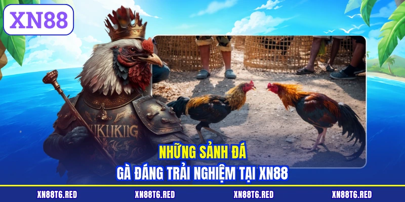 Đá Gà Uy Tín - Trải Nghiệm Cá Cược An Toàn Cùng XN88
