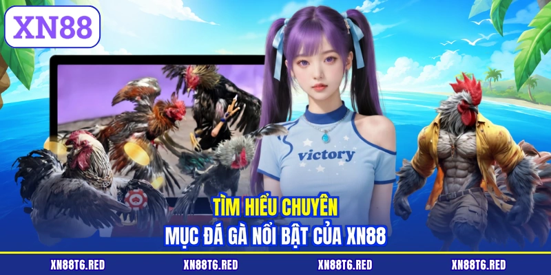 Đá Gà XN88 - Luật Chơi Chi Tiết Và Cách Đánh Giá Chiến Kê