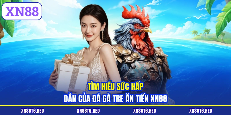 Đá Gà Tre Ăn Tiền XN88 - Đánh Giá Thể Lực Và Chọn Cửa Cược